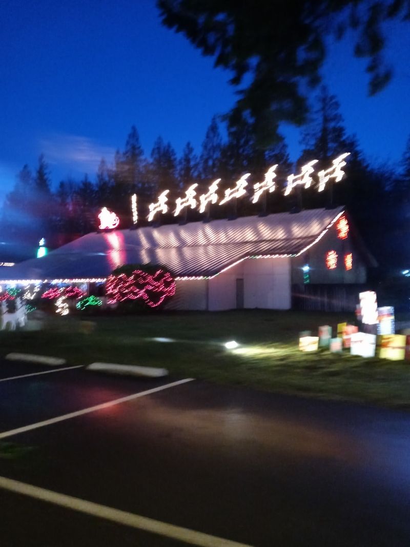 The Lights of Christmas, Stanwood, WA