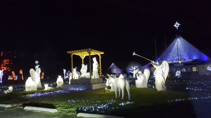 The Lights of Christmas
