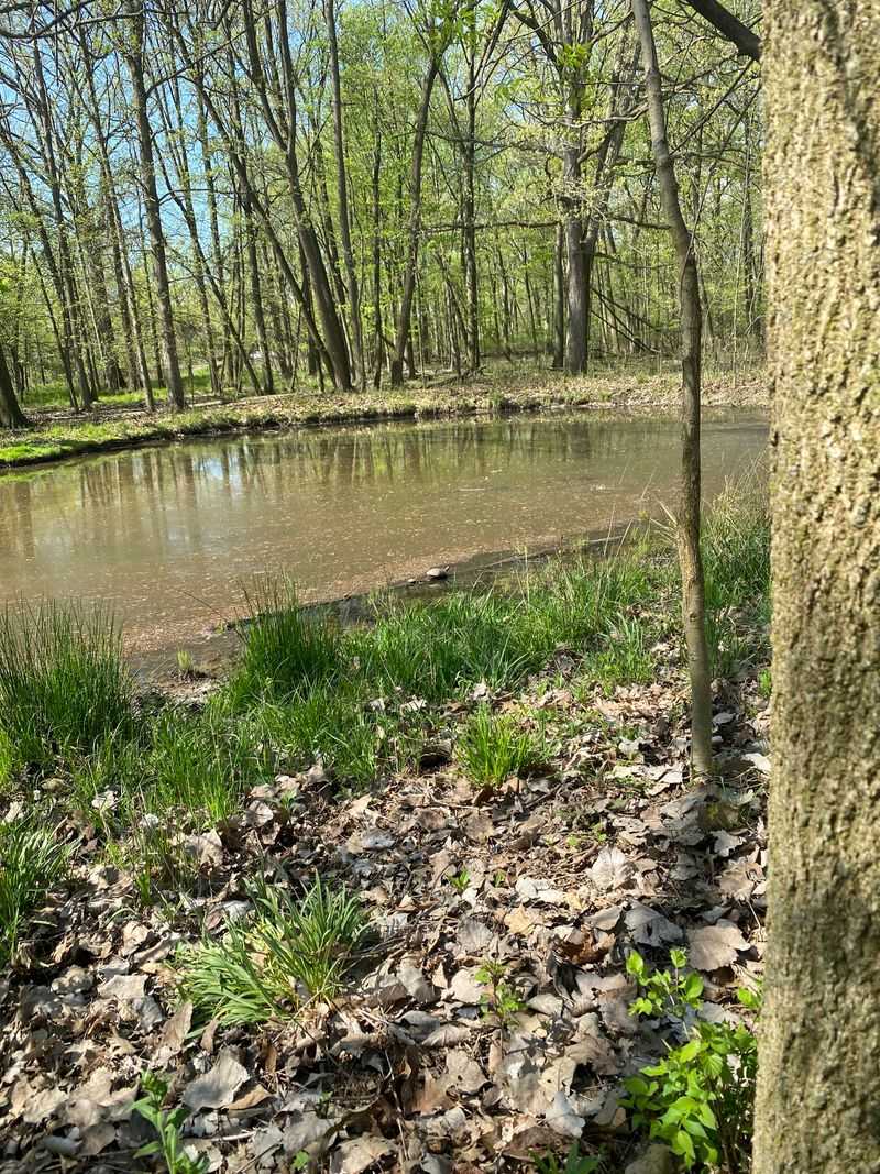 Trails That Wind Through Living Paintings