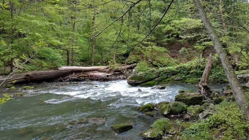 Sixteen Trails for Every Type of Hiker