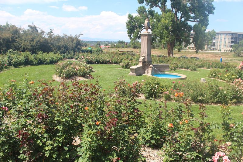Mountain Views That Turn a Garden Walk Into Something More
