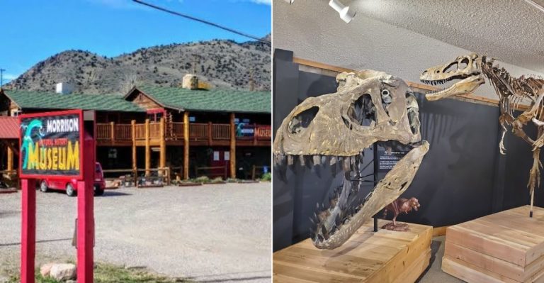 The Little-Known Colorado Museum That Brings Visitors Close To The First Stegosaurus Fossils