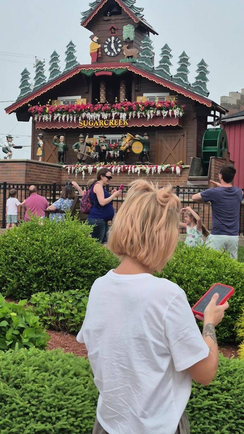 Best Times To Visit For The Full Experience