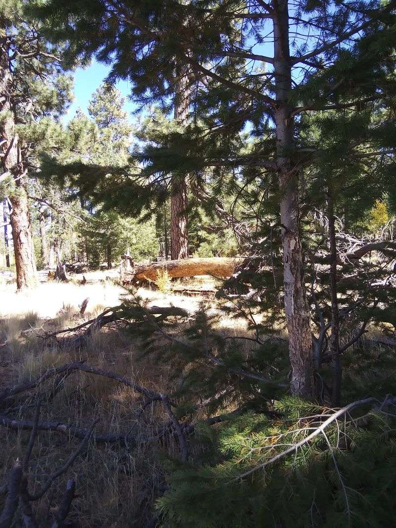 The Little Track Made For Young Riders