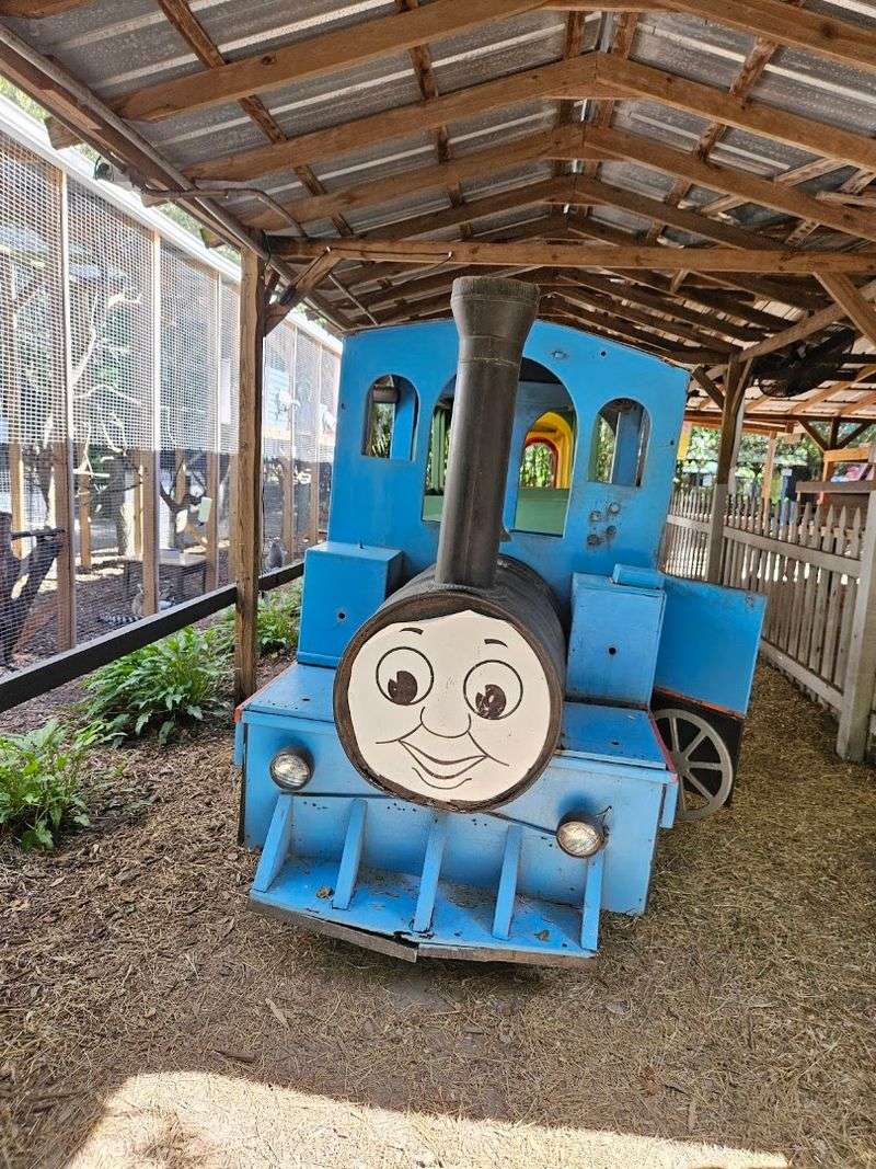 The Little Train Ride That Ties It All Together The Little Train Ride That Ties It All Together