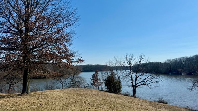 Hillsboro Central Park And Sunday Strolls