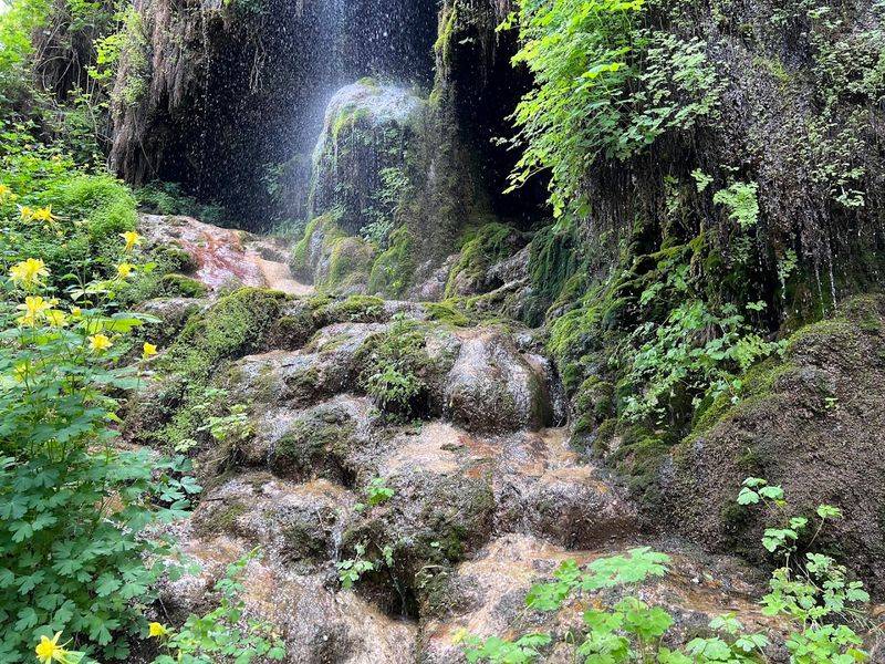 The Living Canyon Around You