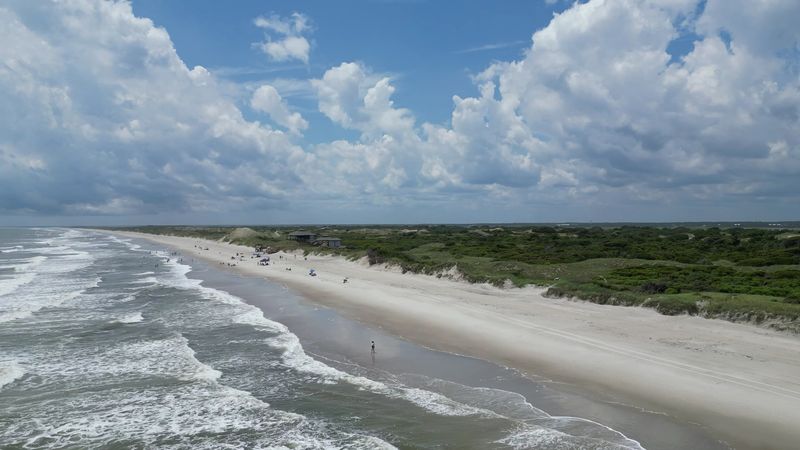 The Living Landscape That Keeps Changing Shape