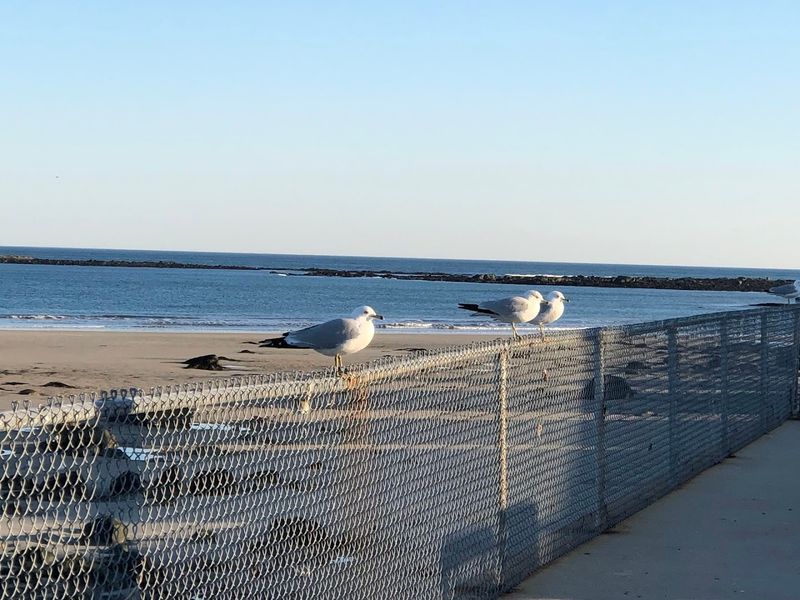 The Ocean Atmosphere That Makes Every Bite Taste Better