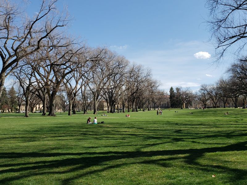 Fits Your Actual Life