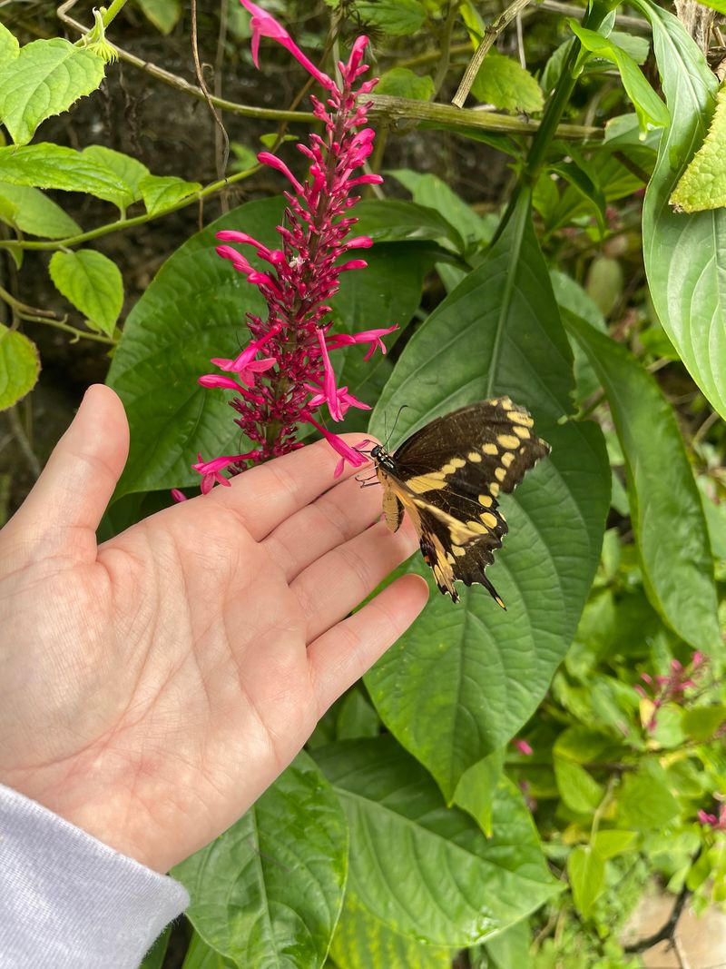 Fits Your Actual Life