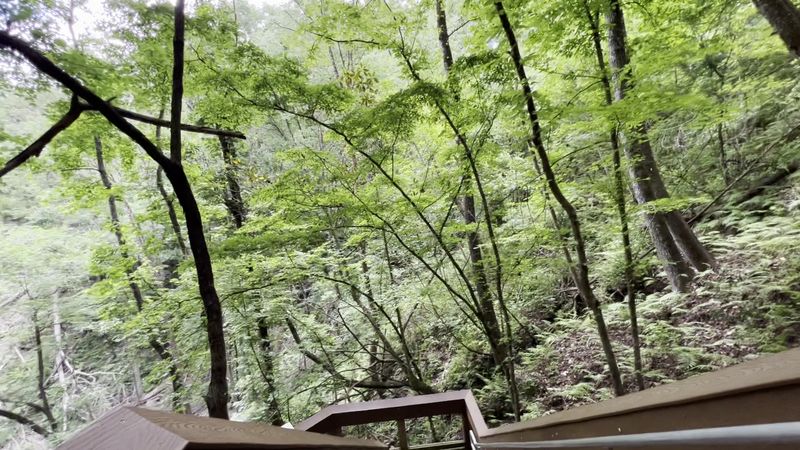 Fits Your Actual Life