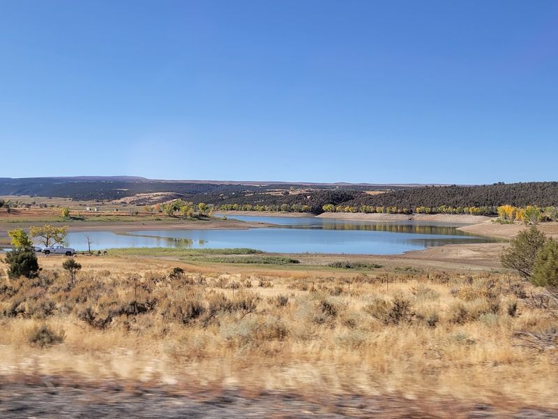 Right For Real People