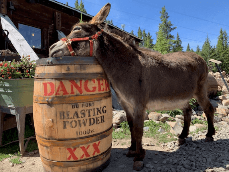 Fits Real Life Plans