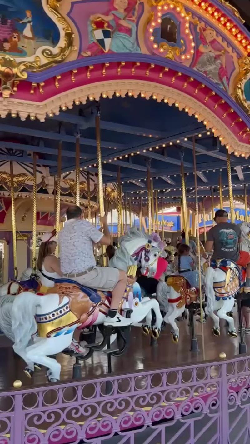 Four Different Horse Sizes For Riders Of All Heights