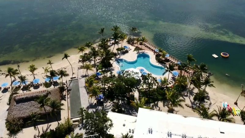 Pet-Friendly Policies That Welcome The Whole Family