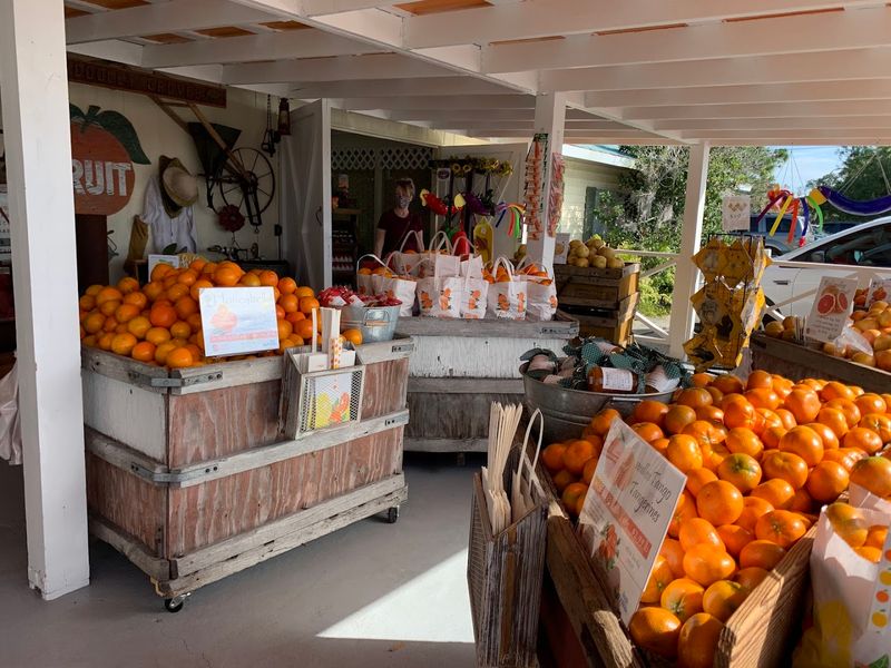 Fresh Honeybell Oranges And Grapefruit Are Available During Season