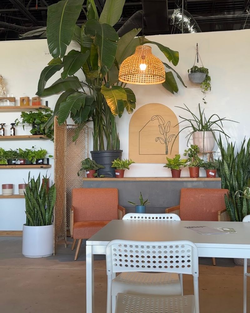 Plants Here Come In Every Shape And Personality