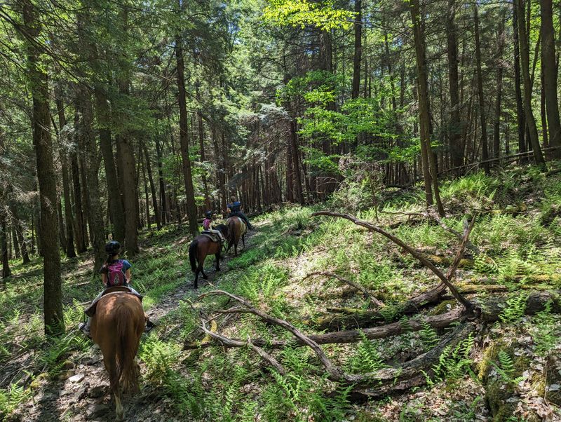Trail Rides Range From One Hour to Full-Day Adventures