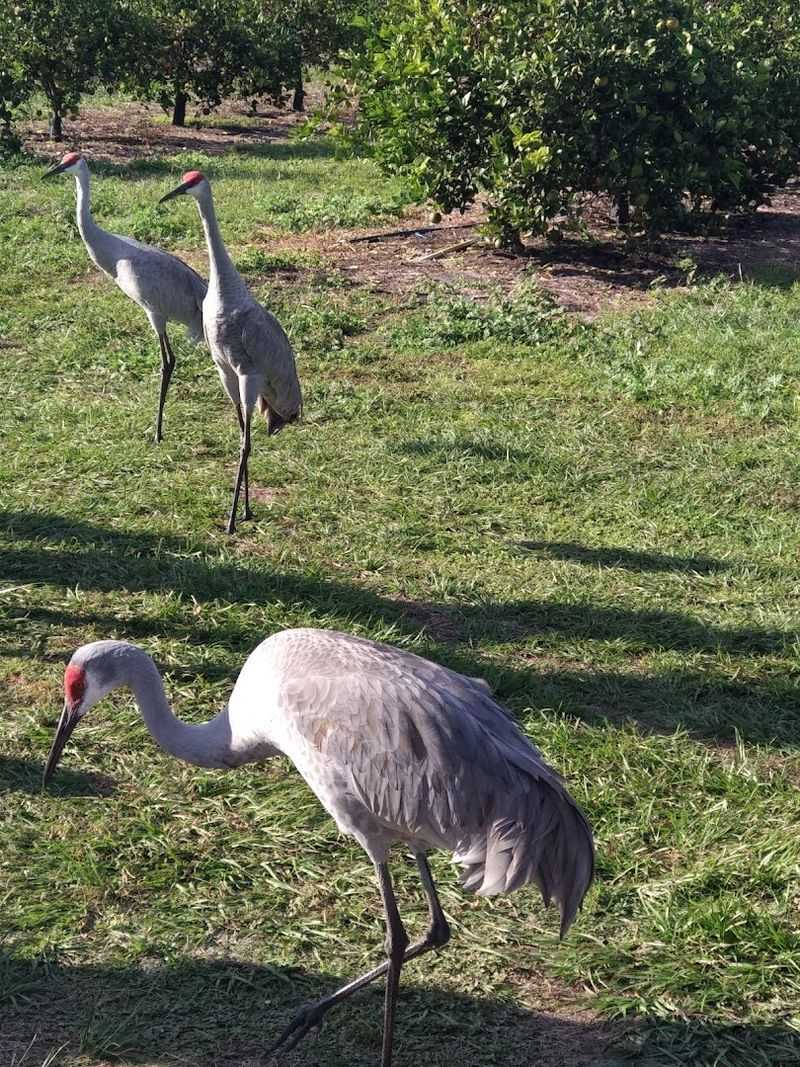 The Wildlife Encounters That Will Blow Your Mind