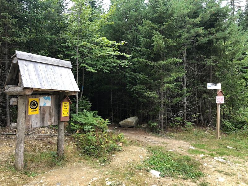 Getting There Is Half The Adventure