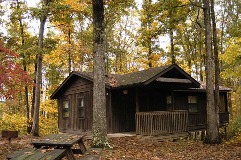 Cabin Stays and the Joy of Going Off the Grid