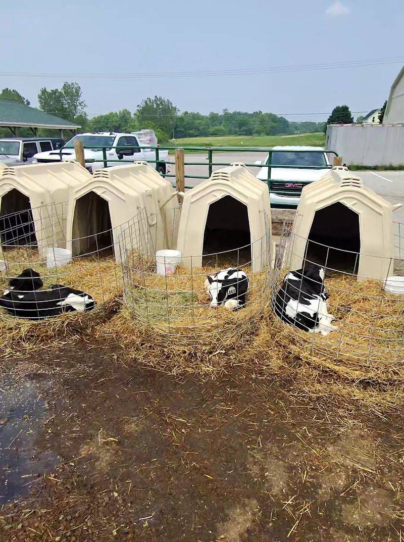 Seasonal Visits During Sweet Corn And Fall Harvest Are Worth Marking On Your Calendar