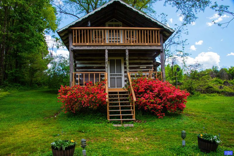 The Log Cabin Bed And Breakfast Experience