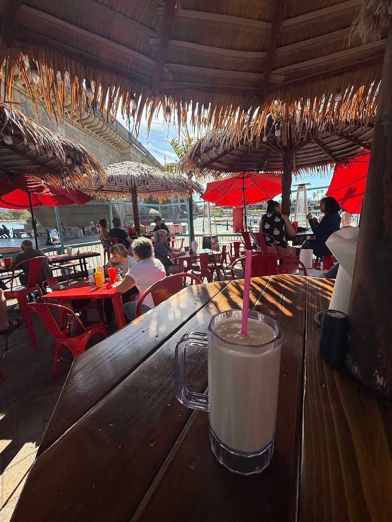 Pet-Friendly Vibes That Welcome The Whole Family