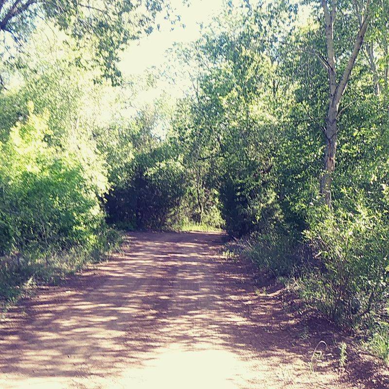 The Long Road That Keeps Crowds Away