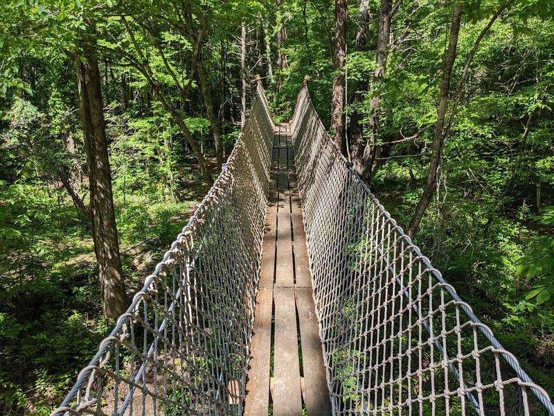 The Longer Palmetto Trail Demands Respect