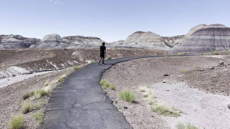 Weather And Timing Considerations