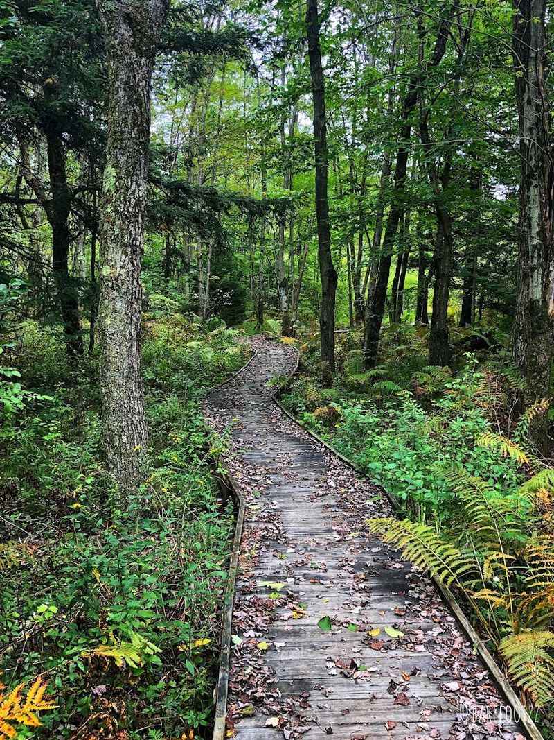 The Loop Trail Covers About 2.2 Miles In Total The Loop Trail Covers About 2.2 Miles In Total