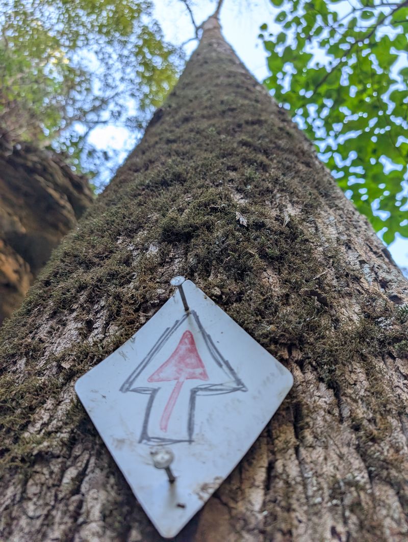 Clockwise vs. Counterclockwise