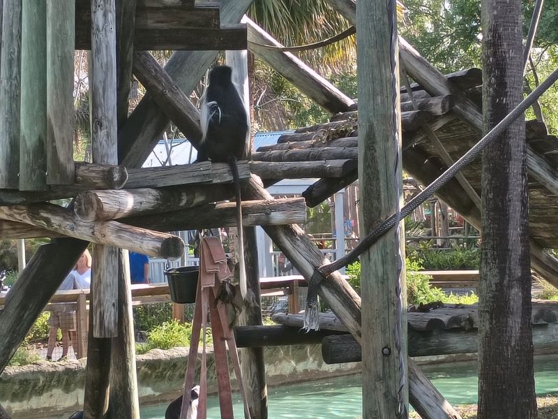 Dinosaur Expedition That Makes Adults Feel Like Kids Again