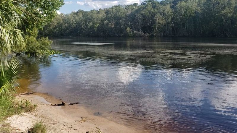 The Lost Ribbon Of Wild River