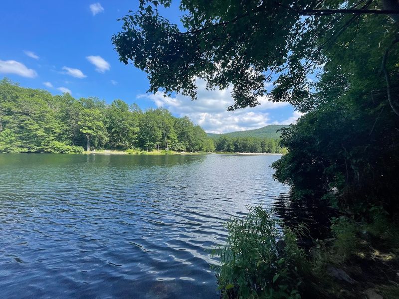 Trout Pond Recreation Area