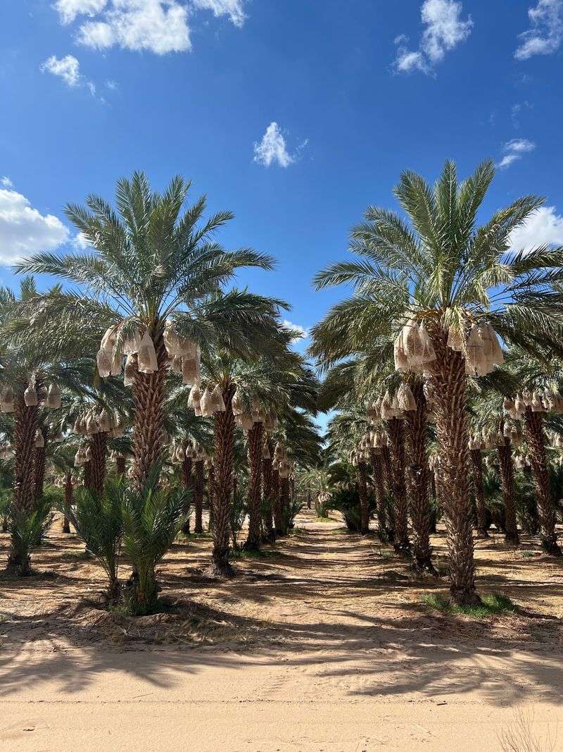 The Love Story Behind The Farm's Name