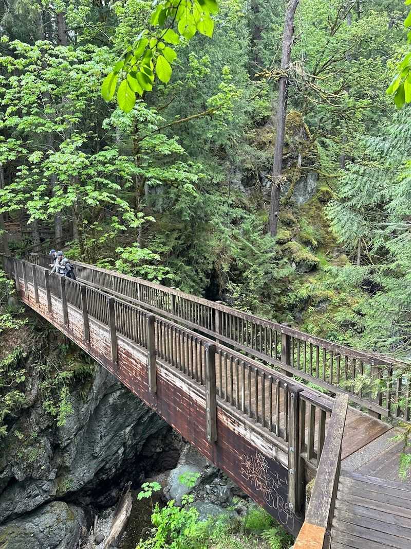 The Suspension Bridge Experience