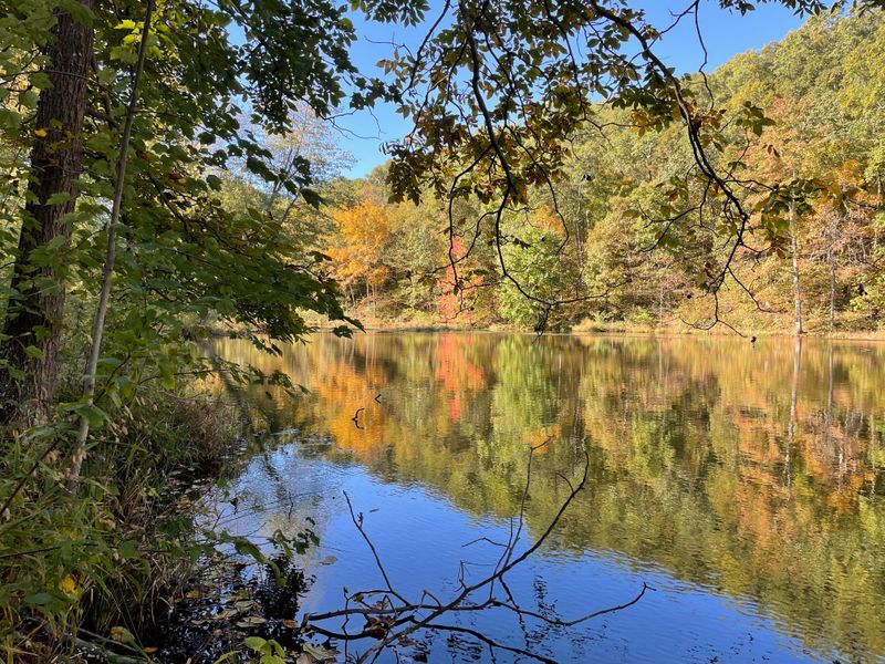 Pounds Hollow Connection