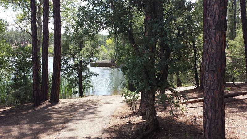 The Lynx Lake Loop Trail Is A Perfect Warm-Up