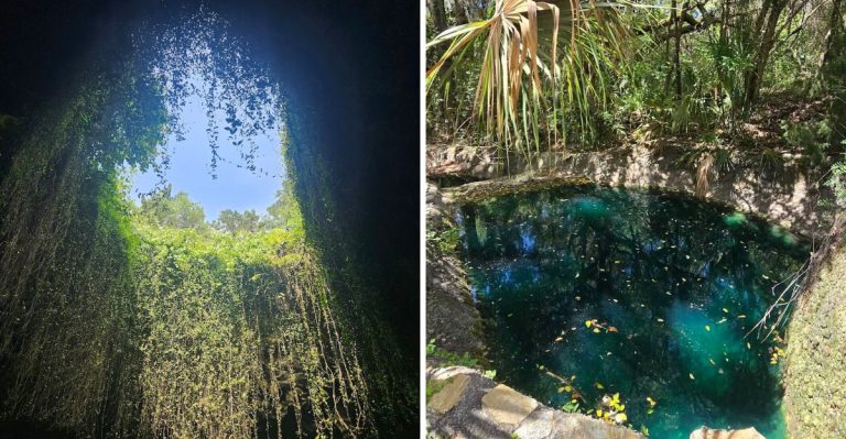 The Magical Florida Sinkhole That Feels Like Something From A Fantasy Novel