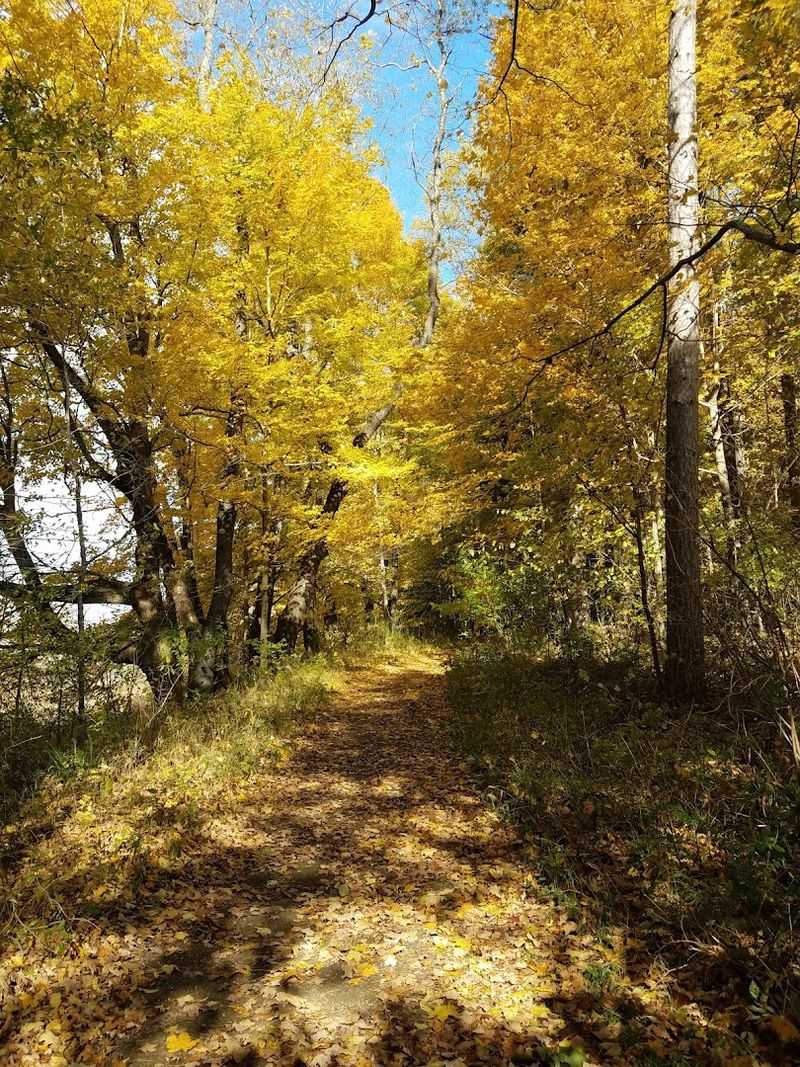 Woodland Trails and Natural Beauty