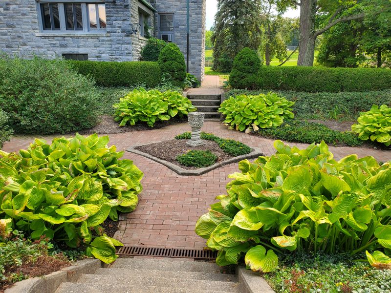 The Mysterious Echo Spot