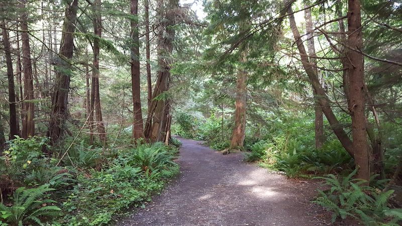 The Makah Recreation Pass and Free Trail Access The Makah Recreation Pass and Free Trail Access