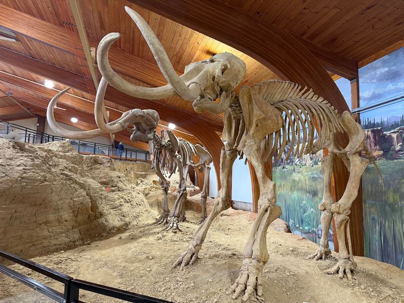The Mammoth Site