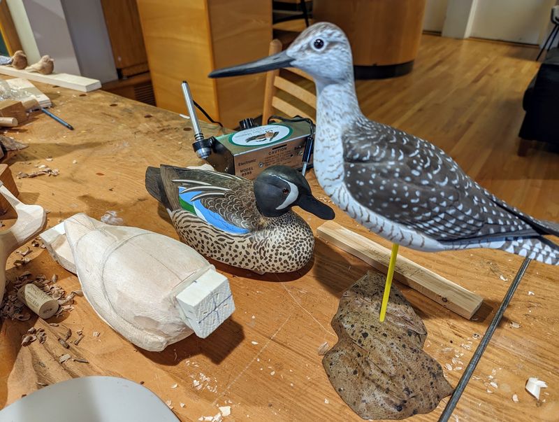 The Man Behind The Birds