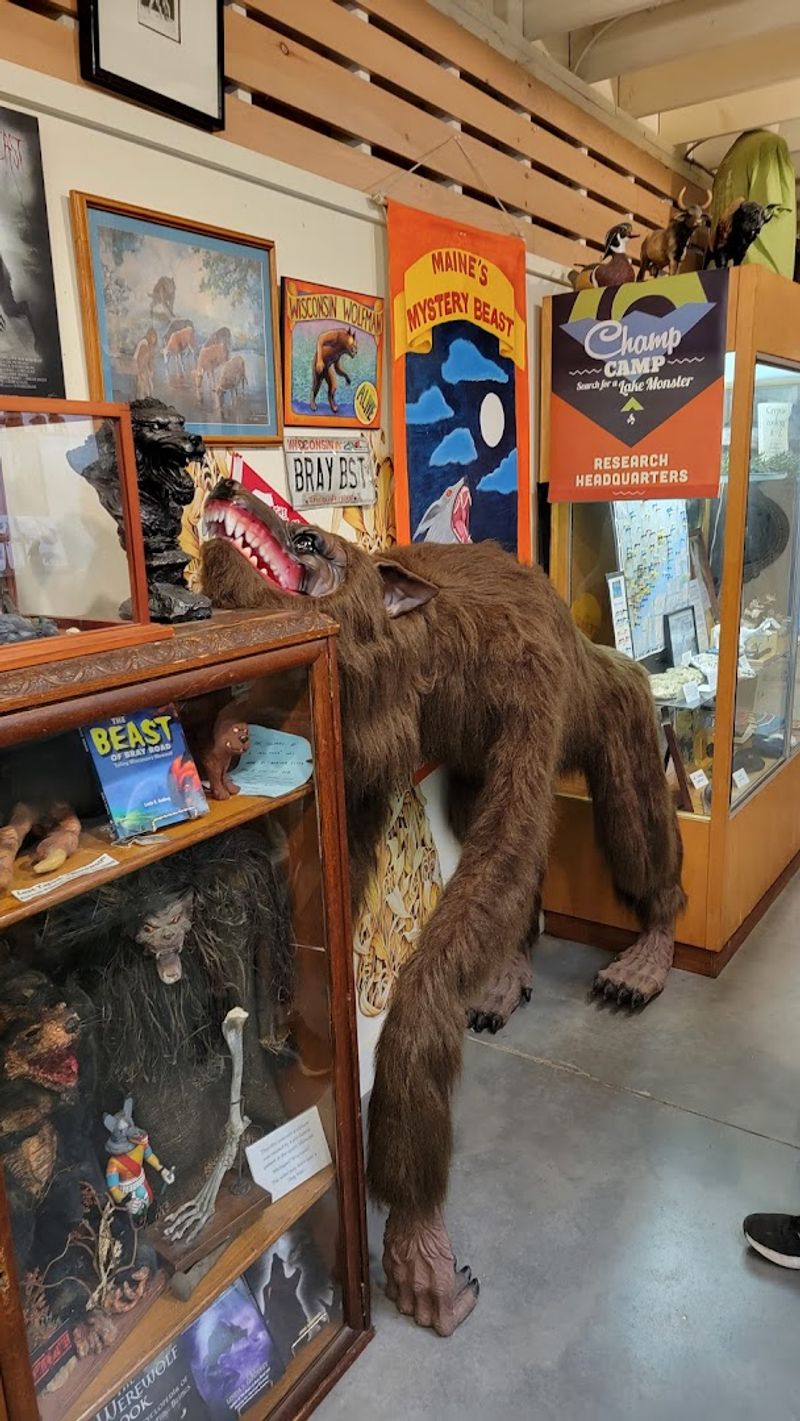 A Gift Shop Full Of Cryptid Finds