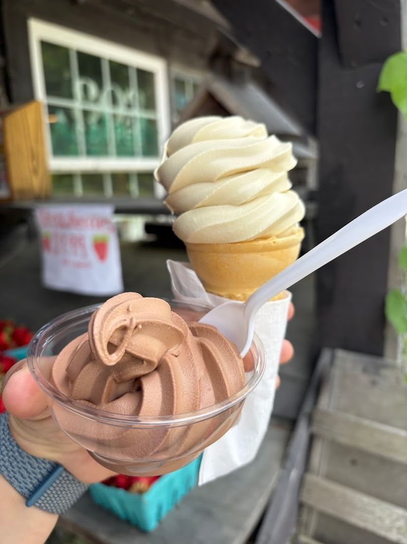 The Maple Treat Everyone Fell For
