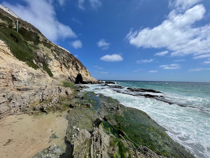 The Marine Protected Area You Need To Know About The Marine Protected Area You Need To Know About